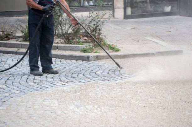 Best Fence Cleaning  in Tice, FL