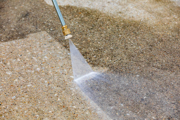 Best Gutter Cleaning  in Tice, FL