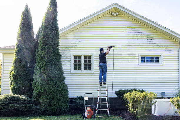 Best Driveway Pressure Washing  in Tice, FL